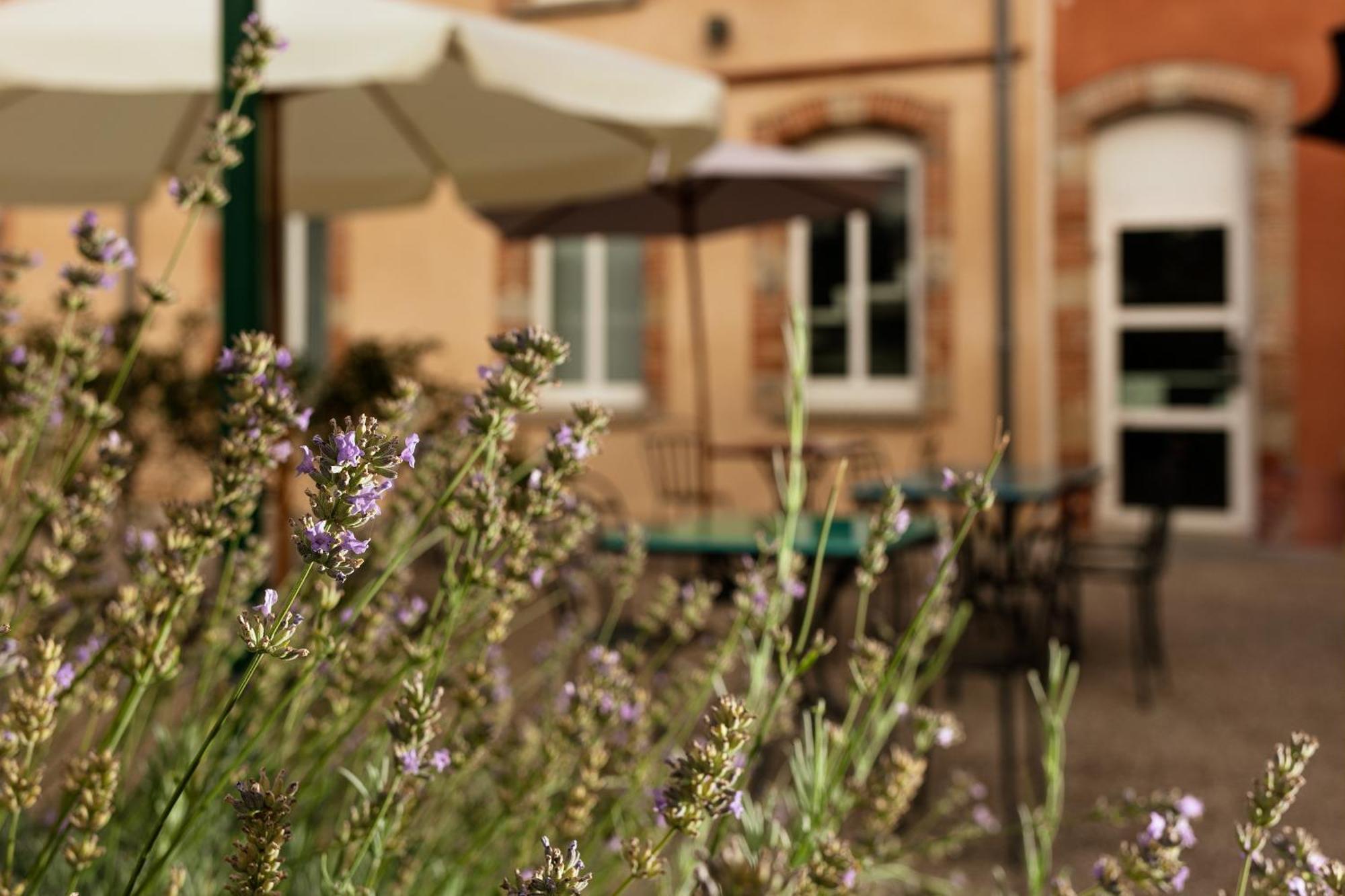 Ibis Styles Toulouse Lavaur Hotell Eksteriør bilde